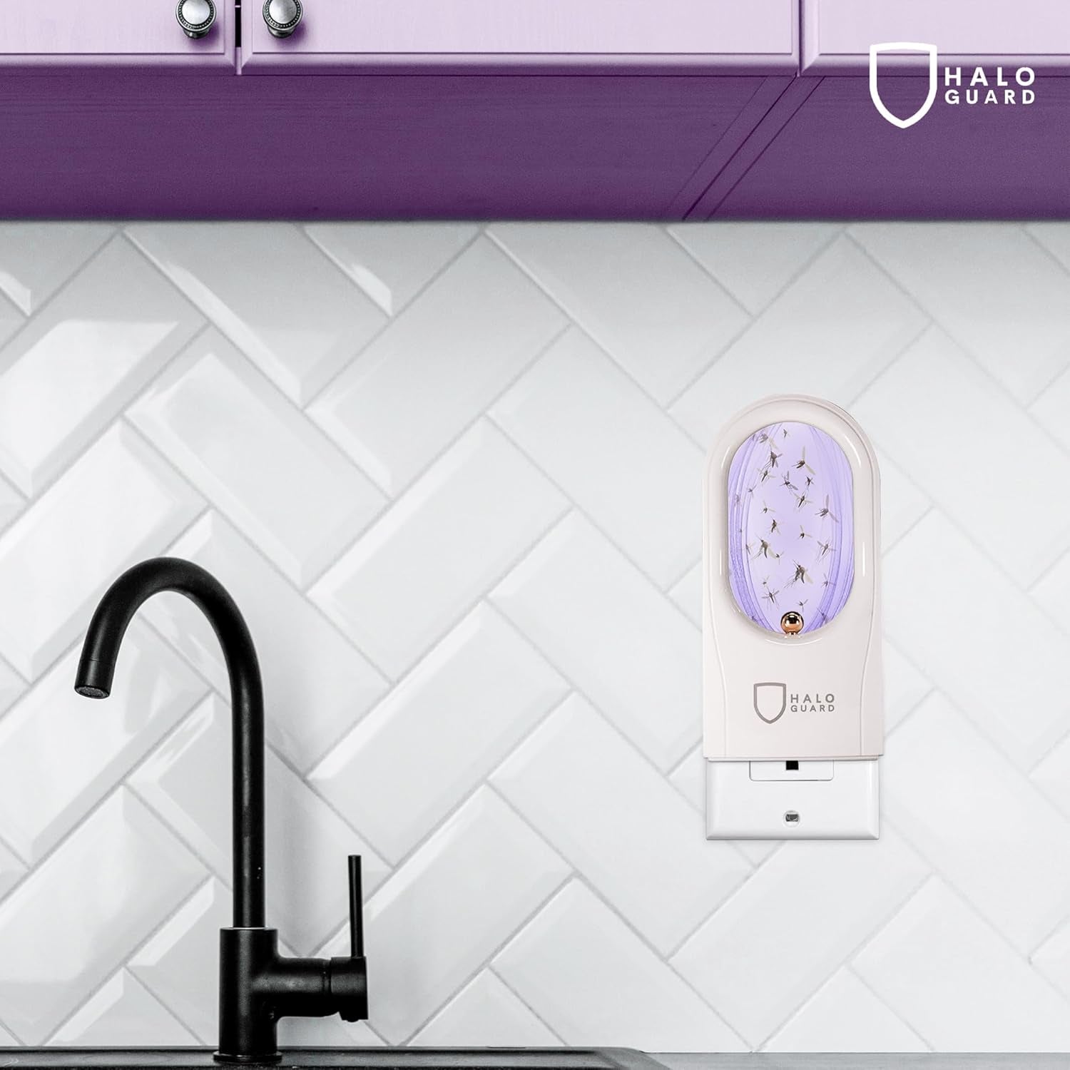 Fly Trap Indoor | Silent, Discreet Gnat, Mosquito, Moth and Fruit Fly Trap | 1 Plug-In with 3 Refills | Alternative to Bug Zapper | Non-Toxic, Safe for Kids & Pets