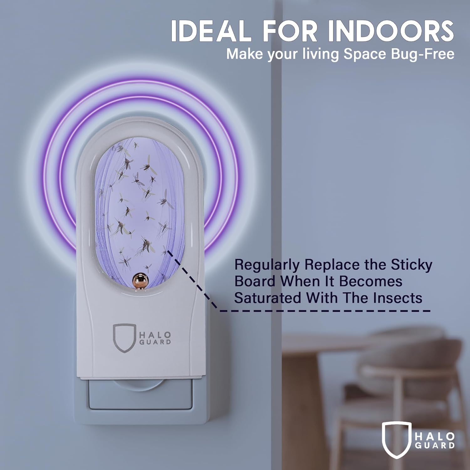 Fly Trap Indoor | Silent, Discreet Gnat, Mosquito, Moth and Fruit Fly Trap | 1 Plug-In with 3 Refills | Alternative to Bug Zapper | Non-Toxic, Safe for Kids & Pets