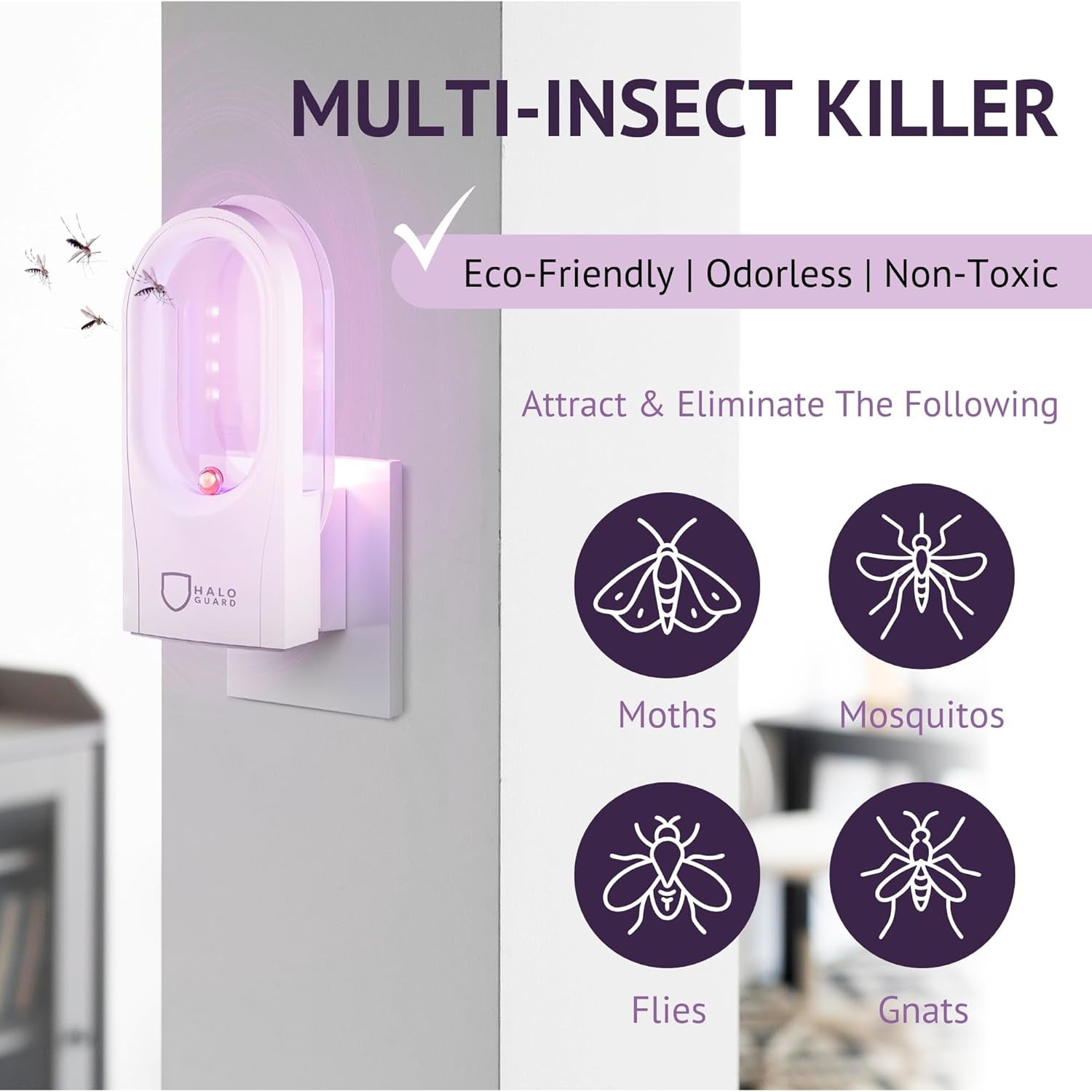 Fly Trap Indoor | Silent, Discreet Gnat, Mosquito, Moth and Fruit Fly Trap | 1 Plug-In with 3 Refills | Alternative to Bug Zapper | Non-Toxic, Safe for Kids & Pets