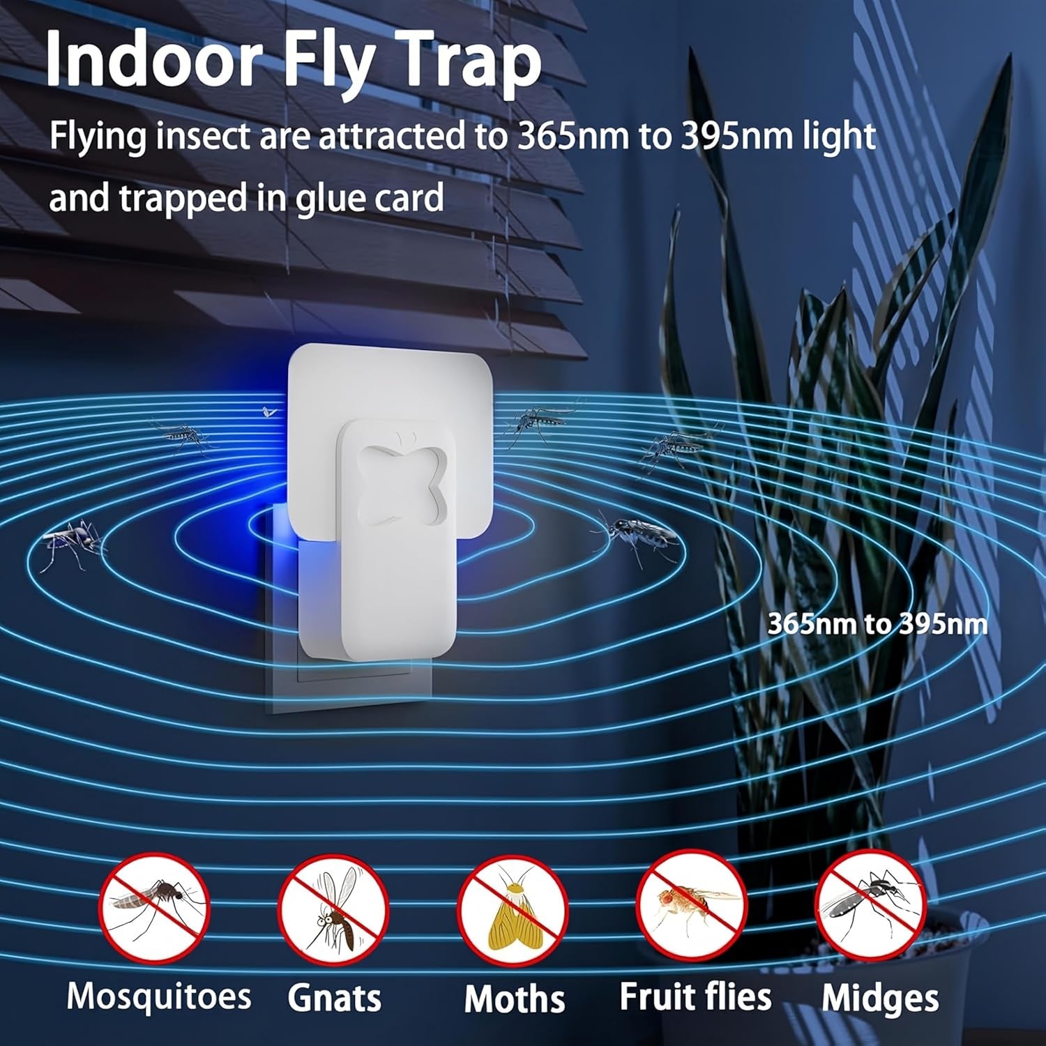 Fruit Fly Traps for Indoors, Plug-In Flying Insect Trap, Fly Catcher Indoor for Mosquito, Fruit Flies, Moths, Gnat Killer Indoor, Gnat Traps, Bug Traps Fly Traps for Home